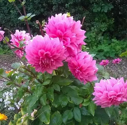 بيت ضيافة Rezidence Jiskra *